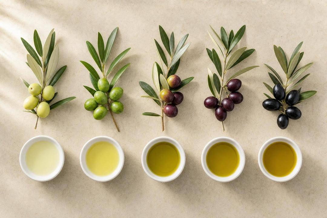 Top 5 Olive Varieties for Organic Farming