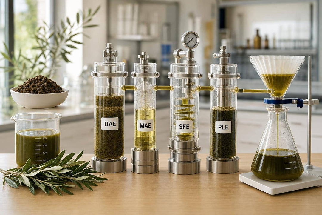 Olive Waste Valorization: Extraction Techniques