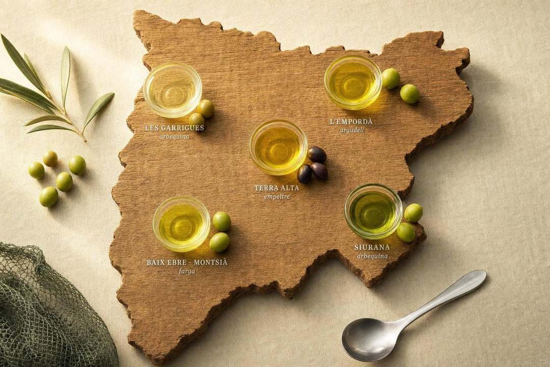 Top Olive Oil Regions in Catalonia