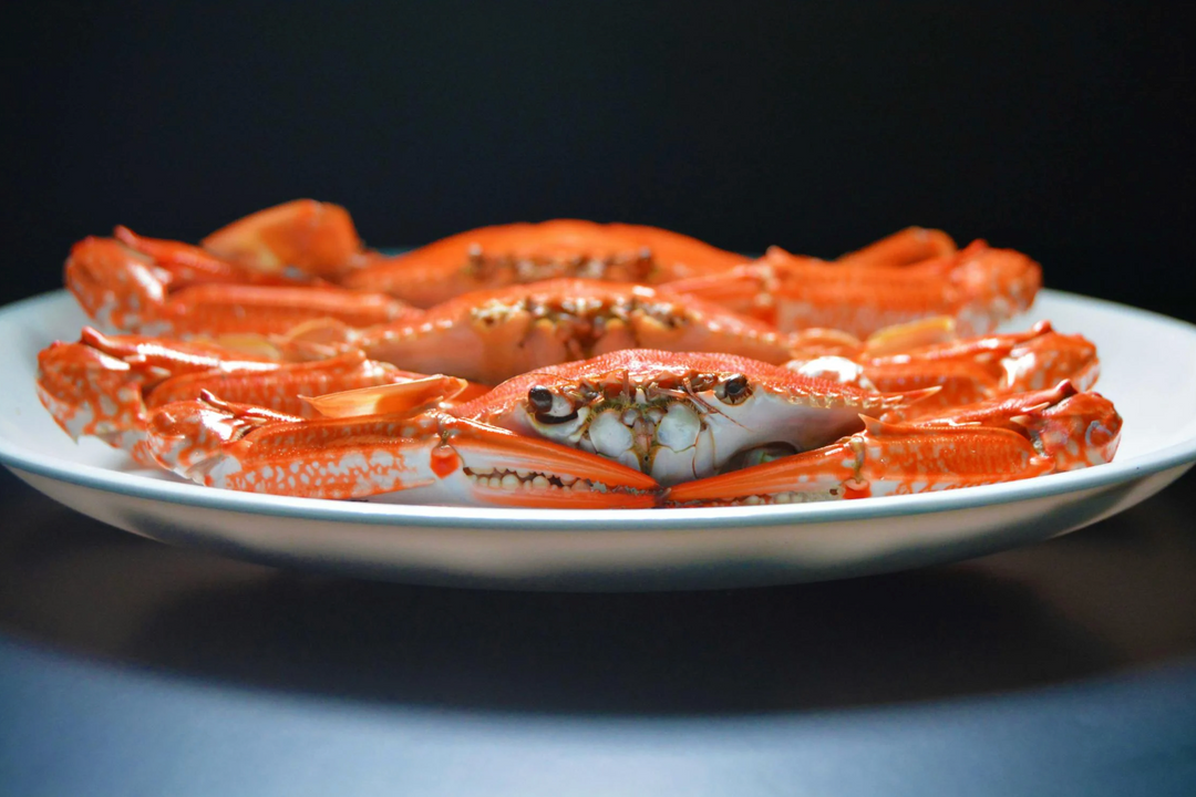 Crabby in the Best Way: Why Crab Is the Unsung Hero of Healthy Eating